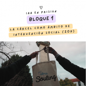 BLOQUE 1 · La cárcel como ámbito de intervención social (20 hrs)