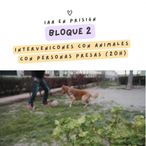BLOQUE 2 · IAA con personas presas (20 hrs)